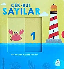 Çek-Bul Sayılar