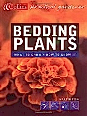Bedding Plants