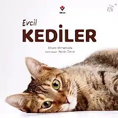 Evcil Kediler