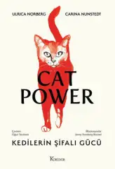 Kedilerin Şifalı Gücü