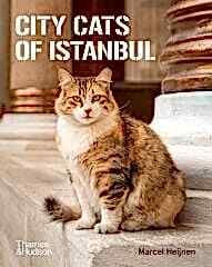 City Cats of Istanbul