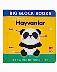 Hayvanlar (Animal)