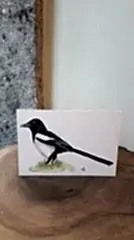 Kartpostal – Saksağan