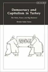 Democracy and Capitalism in Turkey