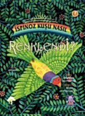 İspinoz Kuşu Nasıl Renklendi?