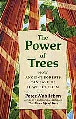 Power of Trees: How Ancient Forests Can Save Us if We Let Them