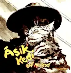 Aşık Kedi