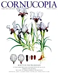 Cornucopia Issue 67, 2024/2025