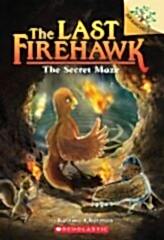 Secret Maze, Last Firehawk 10