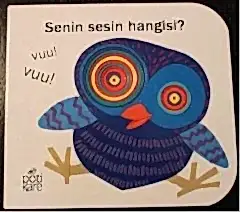 Senin Sesin Hangisi?